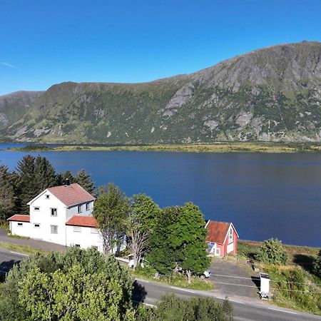 Wildlife Panorama Lofoten Bostad Luaran gambar