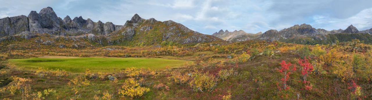 Wildlife Panorama Lofoten Bostad Luaran gambar