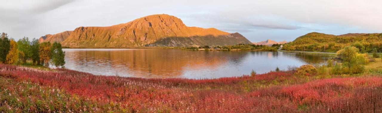 Wildlife Panorama Lofoten Bostad Luaran gambar