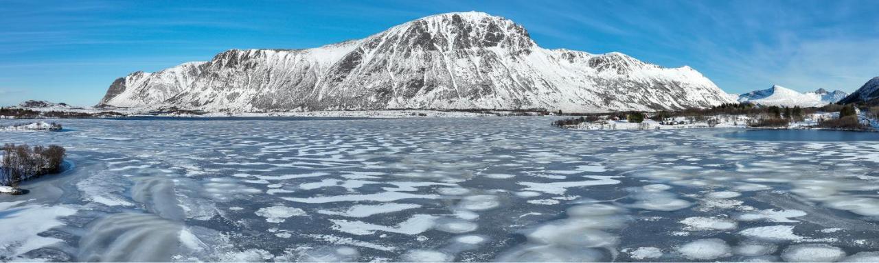 Wildlife Panorama Lofoten Bostad Luaran gambar