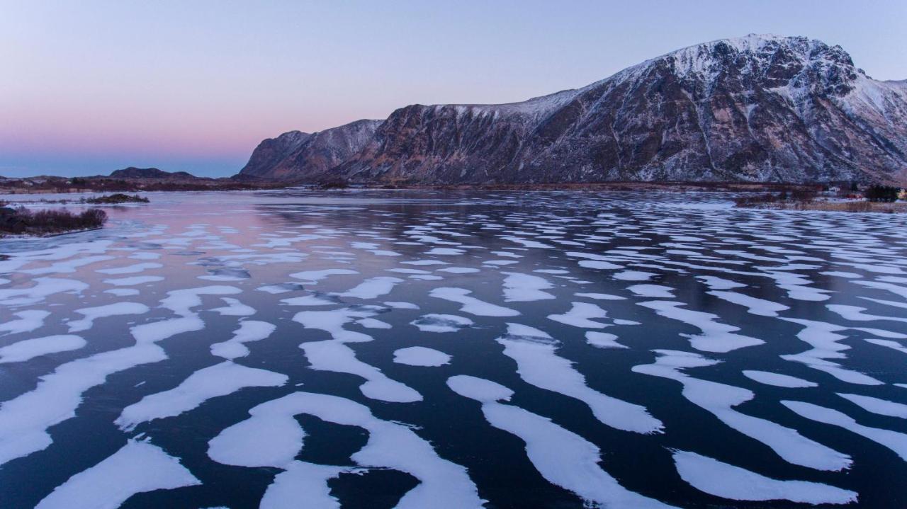 Wildlife Panorama Lofoten Bostad Luaran gambar