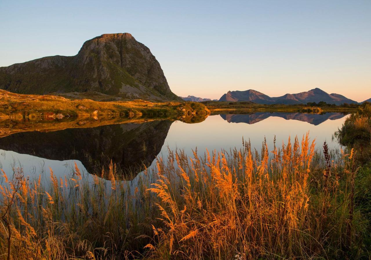 Wildlife Panorama Lofoten Bostad Luaran gambar