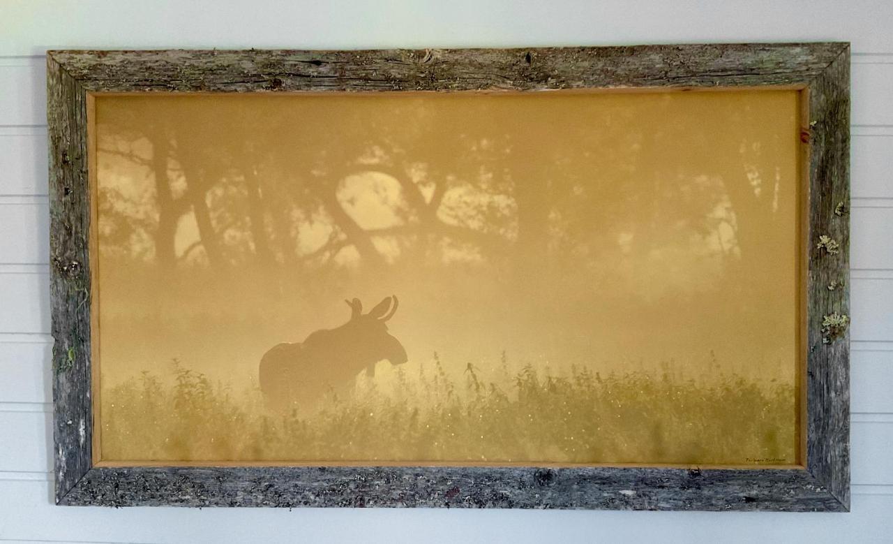 Wildlife Panorama Lofoten Bostad Luaran gambar